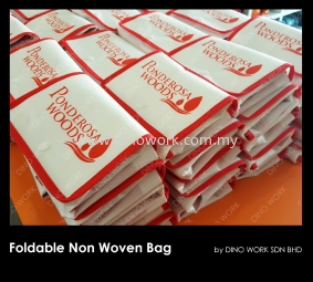 Non Woven Bag