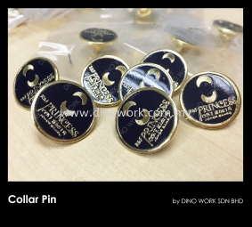 Collar Pin