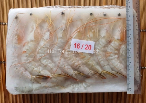 Sabah White Prawn (16/20) (AA) 