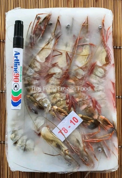 Sabah Sea Tiger Prawn (8/10) (AA) 