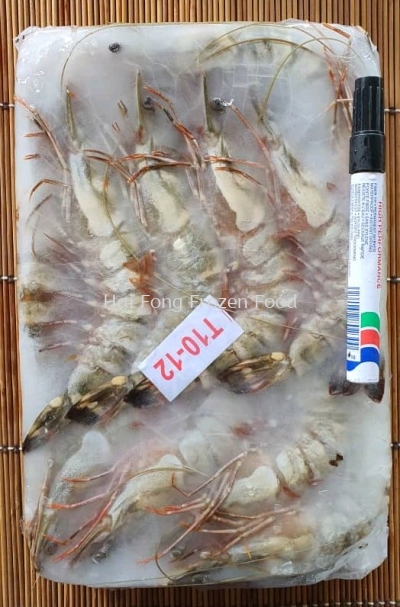 Sabah Sea Tiger Prawn (10/12) (AA) 