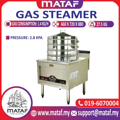 Gas Steamer