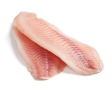 Talapia Fillet  Frozen Fish Fillet English Version