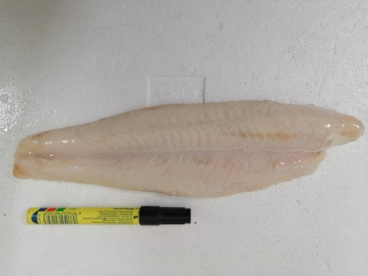 Perch Fillet