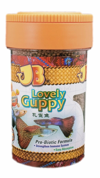 Lovely Guppy