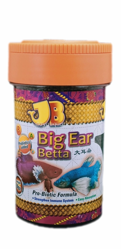Big Ear Betta