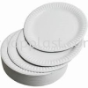 Paper Plate Packaging Products