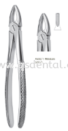 600/1 Upper Inscisors and Canines, Wide Forceps Adult Upper Forceps Forceps Otto Leibinger GmbH