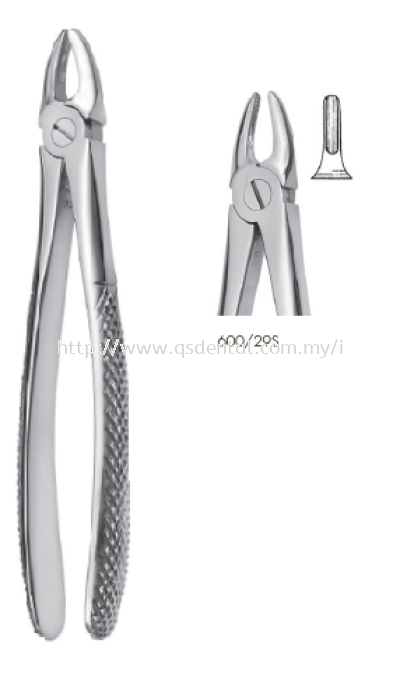 600/29S Upper Incisors and Roots Either Side Children Forceps