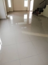 tile polish Tile Polish