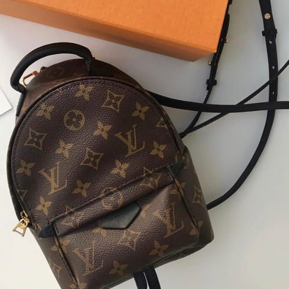 Brand New Louis Vuitton Monogram PalmSpring Mini (HIGHLY SOUGHT AFTER ...