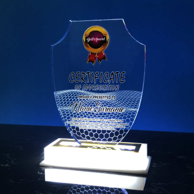 5077 Acrylic LED Lighting Trophy