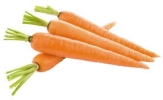 Carrot Vegetables