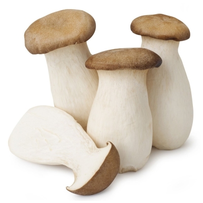 King Oyster Mushroom