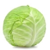 Cabbage Vegetables