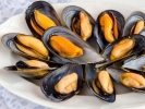 Black Mussel Seafood