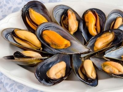 Black Mussel