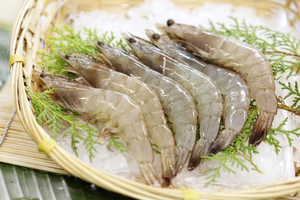 Fresh White Prawn