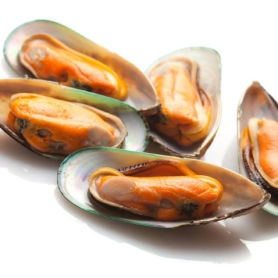 Mussel  (NEW Zealand)