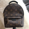 (SOLD) Louis Vuitton Monogram Palm Spring Mini Backpack Louis Vuitton