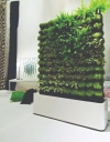 Green Wall Pot Green Wall Pot