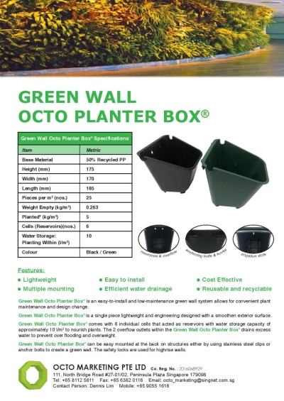 Green Wall Pot