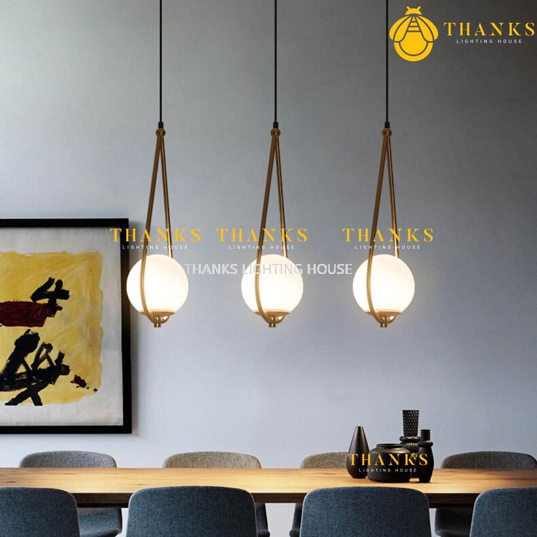 ZC-6017 Single Head Pendant Light