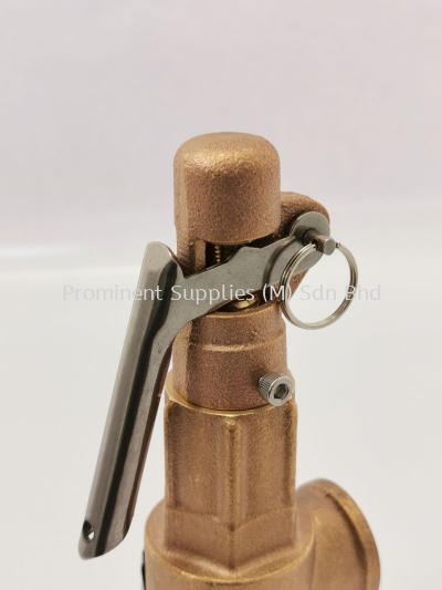 Bronze Safety Valve 