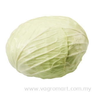 Round Cabbage