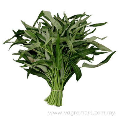 Kangkong