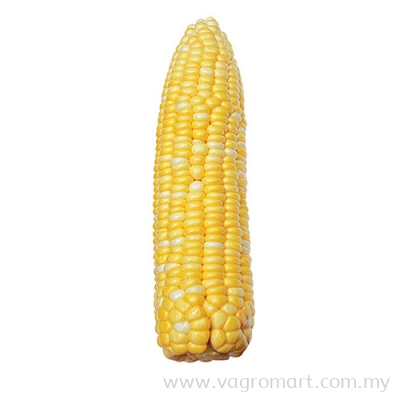 Sweet Corn