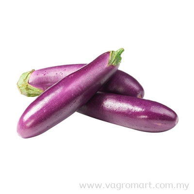 Brinjal Mutiara