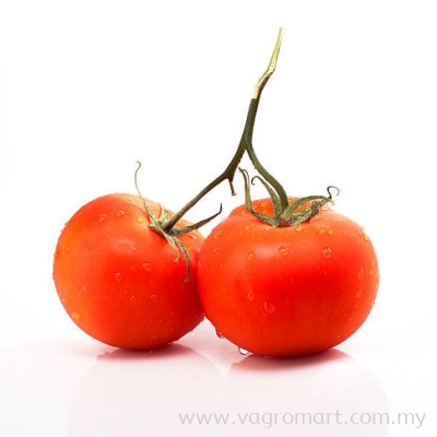 Tomato