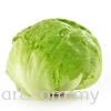 Round Iettuce Vegetables