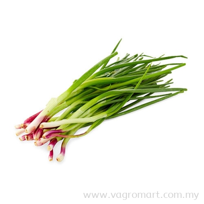 Spring Onion