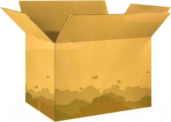 Printed or Plain Corrugated Box