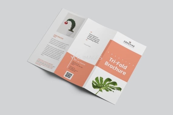 Foldable Brochure