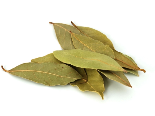 Bay leaf