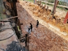 Cuipo Stone Tanjung Langsat Others
