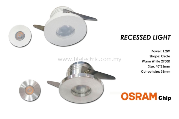 P1 Recessed Light