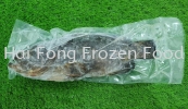 Dragon Tiger Grouper Frozen Fish