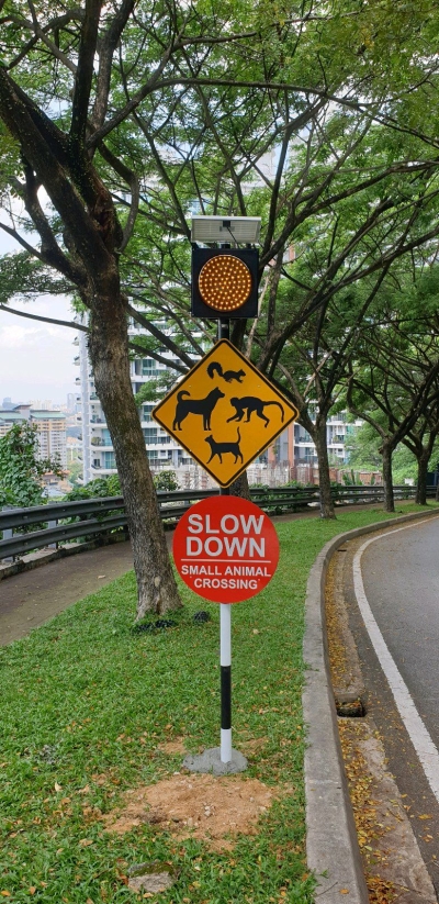 caution road sign with solar amber light
