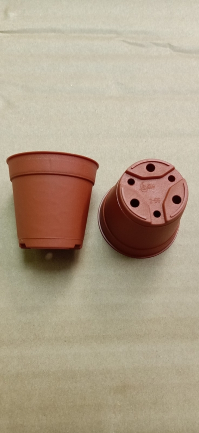 LS5.5 Plastic Flower Pot (Terra Cotta)