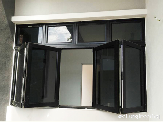 Folding Door