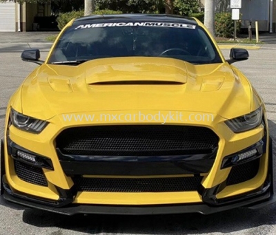 FORD MUSTANG 2015 - 2017 GT500  STYLE BODYKIT