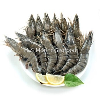 Tiger Prawn Whole