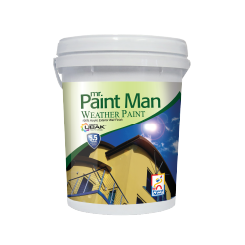 Mr Paint Man Weather Paint