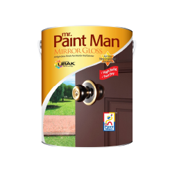 Mr Paint Man Mirror Gloss