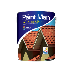 Mr Paint Man Weather Roof