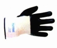  HAND PROTECTION